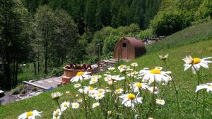 Příroda nedaleko bed and breakfast