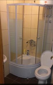 y baño con ducha, aseo y bañera. en Vranje City Center, Penthouse Delux Apartment, en Vranje