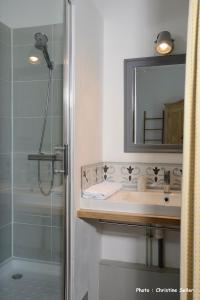 a bathroom with a sink and a mirror and a shower at Un Nid en Camargue in Salin-de-Giraud