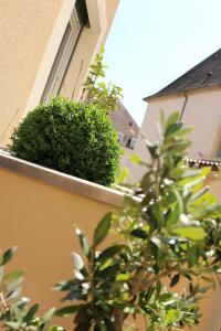 Κήπος έξω από το Appartement Le Saint-Etienne avec Terrasse +1 φωτογραφίες