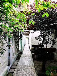Zahrada ubytování Casa Descanso dos Amigos