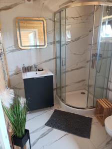 a bathroom with a shower and a sink at Karla in Pleśna