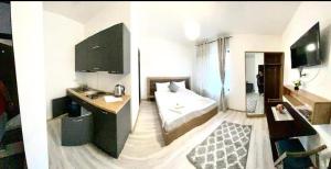 a hotel room with a bed and a sink at Hotel Ipsilanti in Iaşi