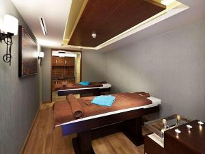 阿凡诺斯卡帕多西亚希尔顿逸林酒店Spa和/或其他健康设施