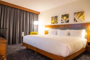 a hotel room with a large bed and a television at Hilton Garden Inn Nairobi Airport in Nairobi