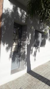 una sombra de un árbol al lado de un edificio en Monoambiente en km3 en Comodoro Rivadavia