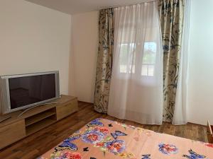 a living room with a television and a window at Casa Armonia Costinesti in Schitul
