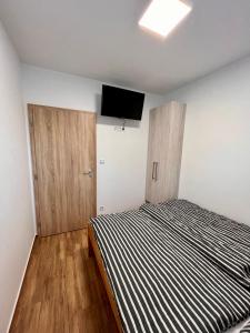 sypialnia z łóżkiem i telewizorem z płaskim ekranem w obiekcie U srubu w mieście Moravany