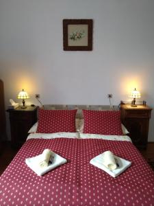 バラトンフレドにあるKasza Villaのベッドルーム1室(赤いベッド1台、タオル2枚付)