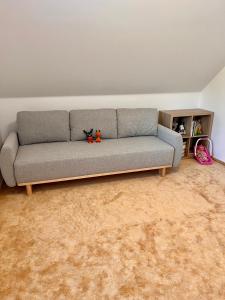 a gray couch in a living room at U Srubu in Moravany