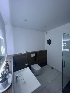 a white bathroom with a toilet and a sink at Moderne Wohnung in Bad Berleburg in Bad Berleburg