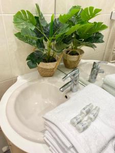 a bathroom sink with towels and plants on it at Splendide Studio avec balcon - Trouville centre in Trouville-sur-Mer