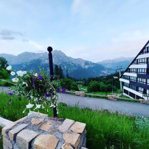 a plant sitting on a stone wall next to a building at Joli studio 4 couchages aux pieds des pistes in Puy-Saint-Vincent