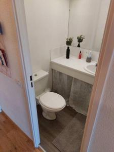 a bathroom with a white toilet and a sink at Joli studio 4 couchages aux pieds des pistes in Puy-Saint-Vincent