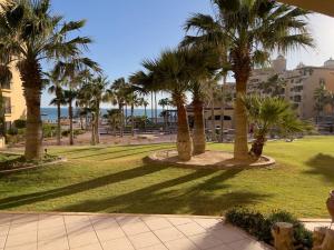 einen Park mit Palmen und dem Meer im Hintergrund in der Unterkunft Ocean Front PRINCESA Resort D108-Sandy Beach-Ground Floor-HUGE in Puerto Peñasco