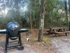 Gallery image of Your Personal 'Glamp' Site! AC - BBQ - Fast WiFi in DeLand