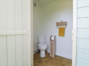 a bathroom with a white toilet in a room at Flora's Hut in Liskeard