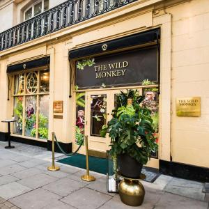 a window display of a wild monkey store on a street at The Waldorf Hilton in London