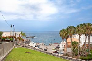 a view of a beach with palm trees and the ocean at Alcamar in Alcalá