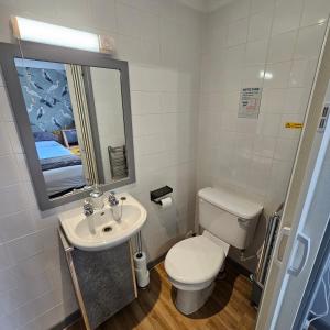 a bathroom with a toilet and a sink and a mirror at Goonearl Simply Stay in Scorrier