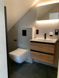 a bathroom with a white toilet and a sink at Pension FeWo Schwärzer in Weiherhammer
