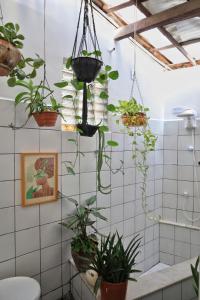 a bathroom with potted plants on the wall at CASA IRACEMAR in Fortaleza