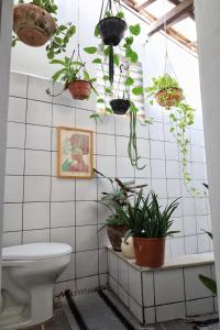 a bathroom with potted plants on the wall at CASA IRACEMAR in Fortaleza