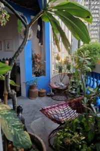 a room with a bunch of plants and chairs at CASA IRACEMAR in Fortaleza