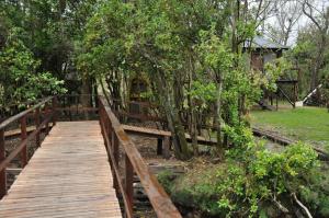 un puente de madera sobre un río con árboles en La Tolerancia, en Tigre