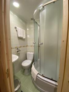 a bathroom with a toilet and a glass shower at Villa Filiak in Yablunytsya