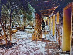 Φωτογραφία από το άλμπουμ του Fox Camp (Moses Lodge) σε Saint Catherine