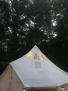VictorにあるBee Glamping Farmの木々を背景に広い白いテント