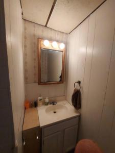 Baño pequeño con lavabo y espejo en Cozy Old House in Lost Creek PA: Enchanting Deck and Expansive Yard. 