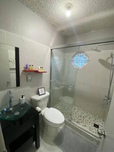 uma casa de banho com um chuveiro, um WC e um lavatório. em Cozy 2 bedroom Townhouse in gated community, KGN8 Newly installed solar hot water system em Kingston