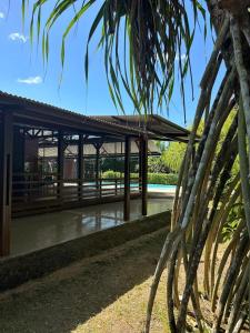 un pabellón con piscina en un parque con palmeras en Villa REYDISIA en Saint-Laurent du Maroni