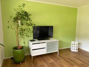 a green room with a tv and a potted plant at Ferienwohnung am Liederbach in Waldshut-Tiengen