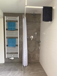 a bathroom with a shower with a shower curtain at Ferienwohnung am Liederbach in Waldshut-Tiengen