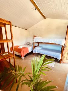 a room with two bunk beds and a plant at Pousada Clara Caraíva in Caraíva