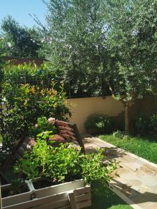a garden with a bench and some plants and a tree at Il gelsomino in Fano