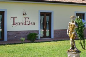 Zahrada ubytování Agriturismo Terra Di Elea azienda agricola di Raimondo MIchela