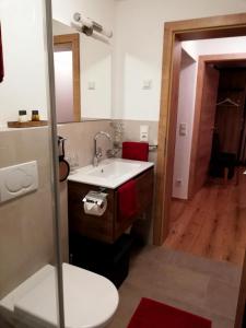 a bathroom with a sink and a toilet at Dreilärchenhaus in Brixen im Thale
