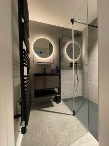bagno con doccia, lavandino e specchio di Gîte 'Au bout du Tige' a Braives