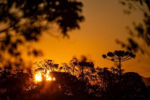 une image du coucher de soleil derrière les arbres dans l'établissement Kairos Glamping - Rancho Queimado - SC, à Rancho Queimado