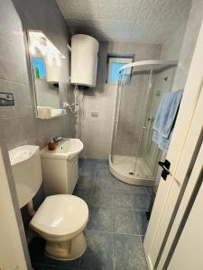 La salle de bains est pourvue de toilettes, d'un lavabo et d'une douche. dans l'établissement Casa Blidariu, à Băile Herculane