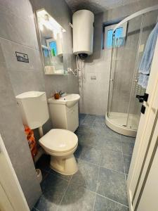 La salle de bains est pourvue de toilettes, d'un lavabo et d'une douche. dans l'établissement Casa Blidariu, à Băile Herculane
