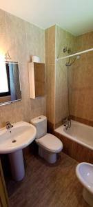 a bathroom with a toilet and a sink and a tub at Lunar in Castiello de Jaca