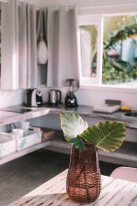 una planta en un jarrón sobre una mesa en una cocina en Cactus Lodge Pipa, en Pipa