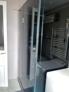 a shower with a glass door in a room at Chez Monique et Jean-Claude in Pézarches