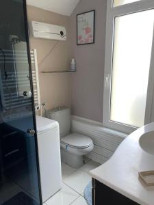 a bathroom with a toilet and a sink and a window at Chez Monique et Jean-Claude in Pézarches