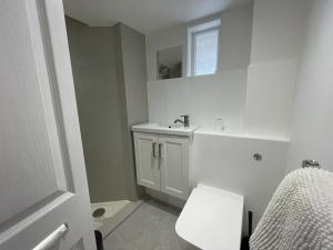 a bathroom with a sink and a toilet and a mirror at The Greig 2 in Wadhurst